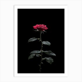 Single Rose On Black Background 58 Art Print