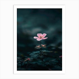 Pink Flower In The Dark 7 Art Print