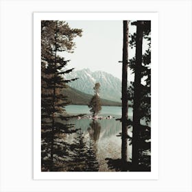 Tree On Lake Island Art Print