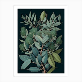 Eucalyptus Herb Vintage Botanical Art Print