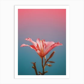 Pink Flower Art Print