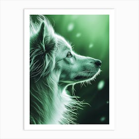 White Dog Art Print