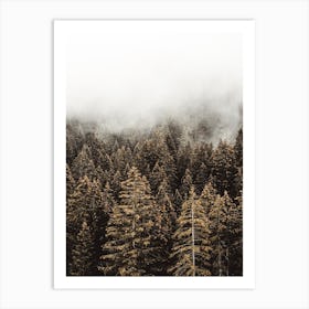 Tall Pine Trees Art Print
