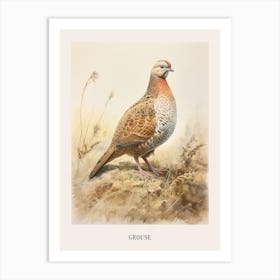 Vintage Bird Drawing Grouse 1 Poster Art Print