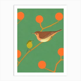 Hermit Thrush Midcentury Illustration Bird Art Print