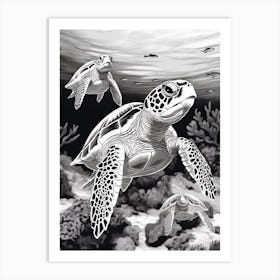 Black And White Detailed Sea Turtles Illustration Art Print