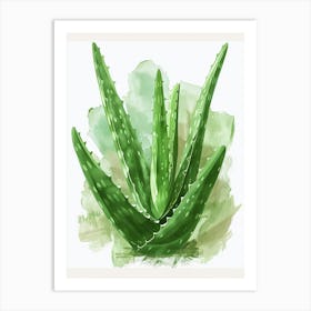 Aloe Vera Plant Minimalist Illustration 3 Art Print