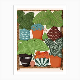 Plants Art Print