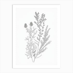 Thyme Herb William Morris Inspired Line Drawing 1 Art Print