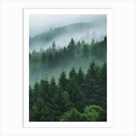 Misty Forest 2 Art Print