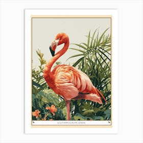 Greater Flamingo Southern Europe Spain Tropical Illustration 6 Poster Art Print