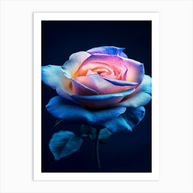 Blue Shining Rose Art Print