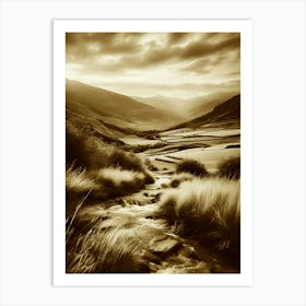 Sepia 13 Art Print