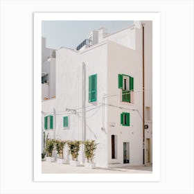 White House With Green Shutters in Monopoli, Puglia, Italy - architecture and travel photography Art Print