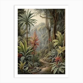 Vintage Jungle Botanical Illustration Bromeliads 3 Art Print