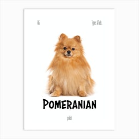 Pomeranian - Dog - Polish - Typography - Art Print - Retro - Canine - White & Black - Minimalist  Art Print
