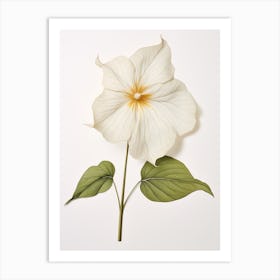 Pressed Wildflower Botanical Art Prairie Trillium 1 Art Print