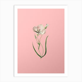 Vintage Satiny Calochortus Flower Branch Botanical on Soft Pink n.0711 Art Print