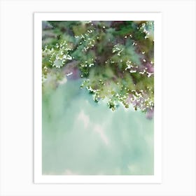 Acropora Tenella Storybook Watercolour Art Print