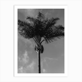 Monochrome Palm Tree Art Print