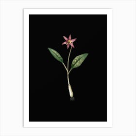 Vintage Erythronium Botanical Illustration on Solid Black n.0518 Art Print