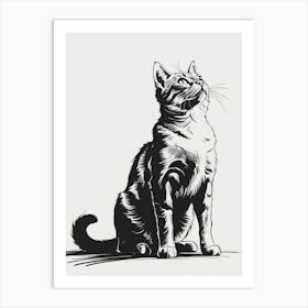 Cat Looking Up 3 Art Print