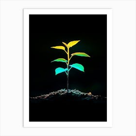 Tree Growing In The Dark 2 Art Print