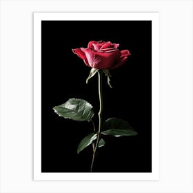 Single Red Rose On Black Background 23 Art Print