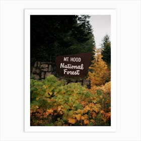 Mt Hood National Forest Service Sign Oregon Art Print