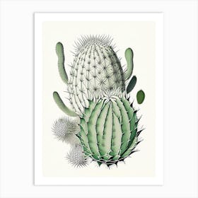 Stenocactus Cactus William Morris Inspired 1 Art Print