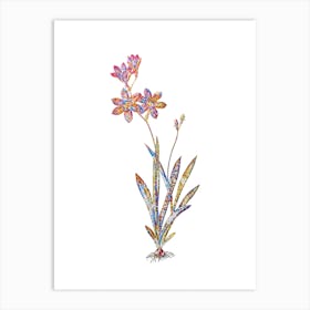 Stained Glass Ixia Grandiflora Mosaic Botanical Illustration on White n.0055 Art Print