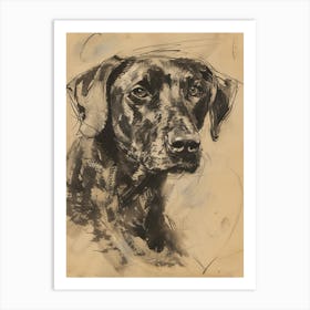 Sepia Plott Hound Dog Charcoal Line 1 Art Print