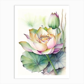 Lotus Flower In Garden Watercolour Ink Pencil 1 Art Print