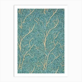 Bristlecone Pine 1 tree Vintage Botanical Art Print