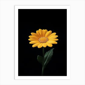 Gerbera Daisy 15 Art Print