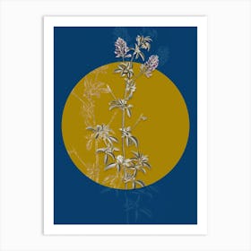 Vintage Botanical Spanish Clover Bloom on Circle Yellow on Blue Art Print