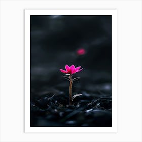 Flower In The Dark 35 Art Print