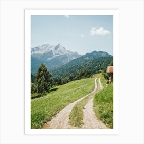 Pathway In The Alps Art Print