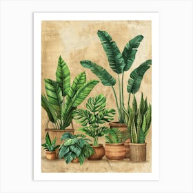 Tropical Plants In Pots 2 Art Print