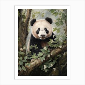 Panda Art In Realism Style 3 Art Print
