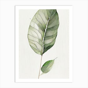 Wild Yam Leaf Minimalist Watercolour 1 Art Print