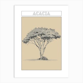 Acacia Tree Minimalistic Drawing 2 Poster Art Print