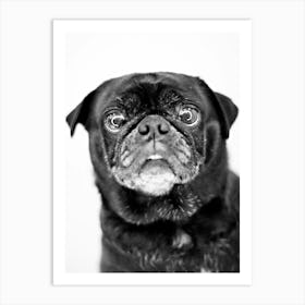 Pug Life Art Print