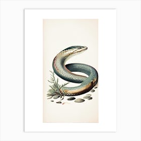 Beaked Sea Snake Vintage Art Print