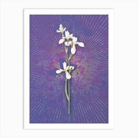 Vintage Siberian Iris Botanical Illustration on Veri Peri n.0806 Art Print