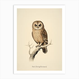 Vintage Owl Poster Art Print