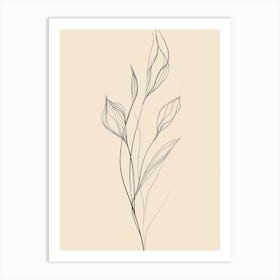 Drawing Of A Flower 4 Art Print