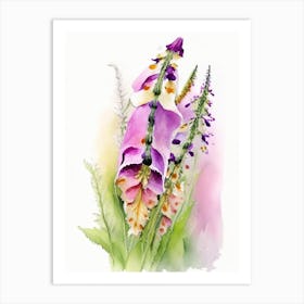 Foxglove Wildflower Watercolour 1 Art Print