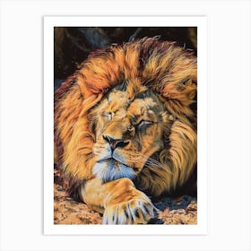 Barbary Lion Resting Acrylic Painting 3 Art Print