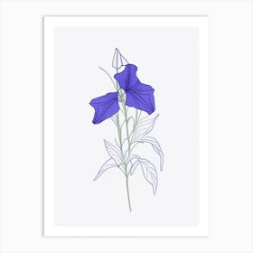 Canterbury Bell Floral Minimal Line Drawing 4 Flower Art Print